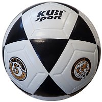 Futbalová lopta veľkosti 5